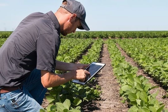 Menjelajahi Era Baru Pertanian Berkelanjutan dengan Green IT